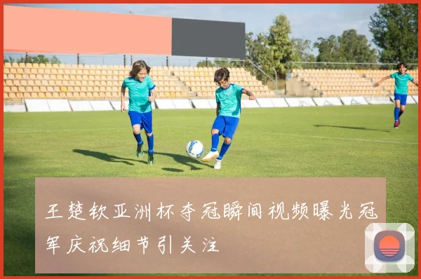 王楚钦亚洲杯夺冠瞬间视频曝光冠军庆祝细节引关注