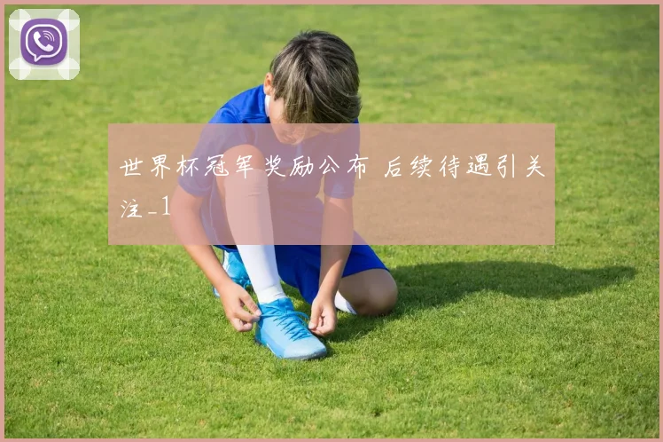 世界杯冠军奖励公布 后续待遇引关注_1