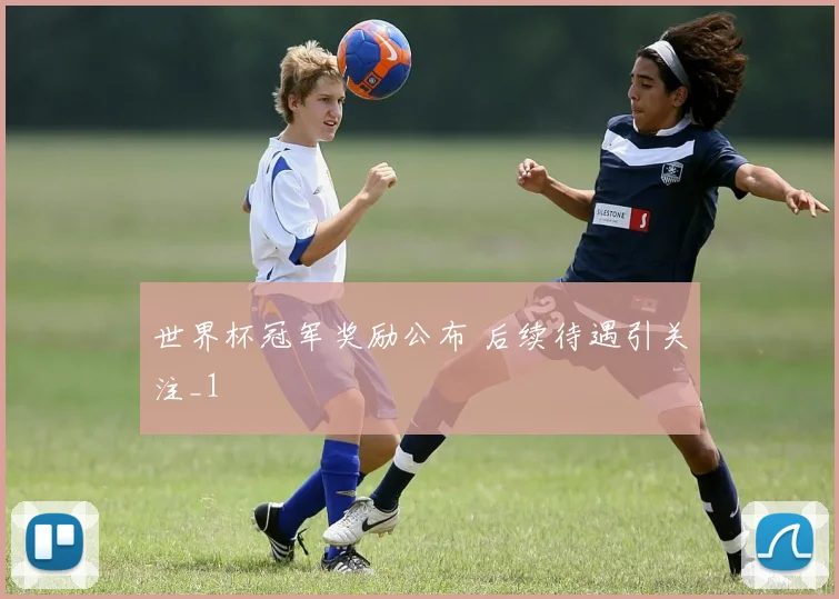世界杯冠军奖励公布 后续待遇引关注_1
